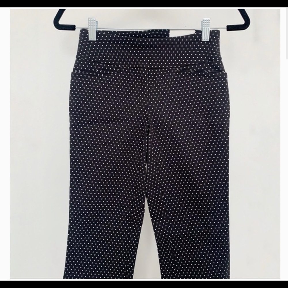 Van Hausen Navy Pants With White Polka Dots